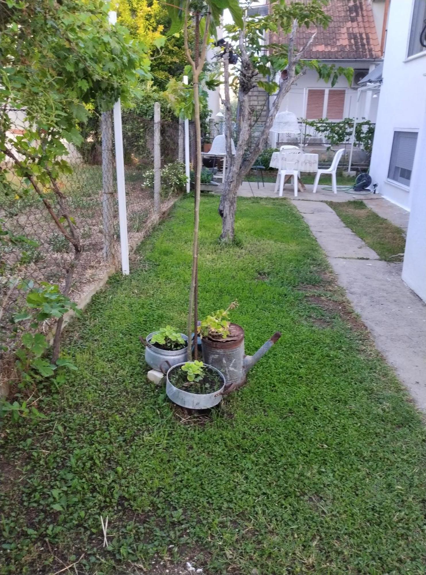 Θαλασσινή Αυρα Villa Vrasná Dış mekan fotoğraf