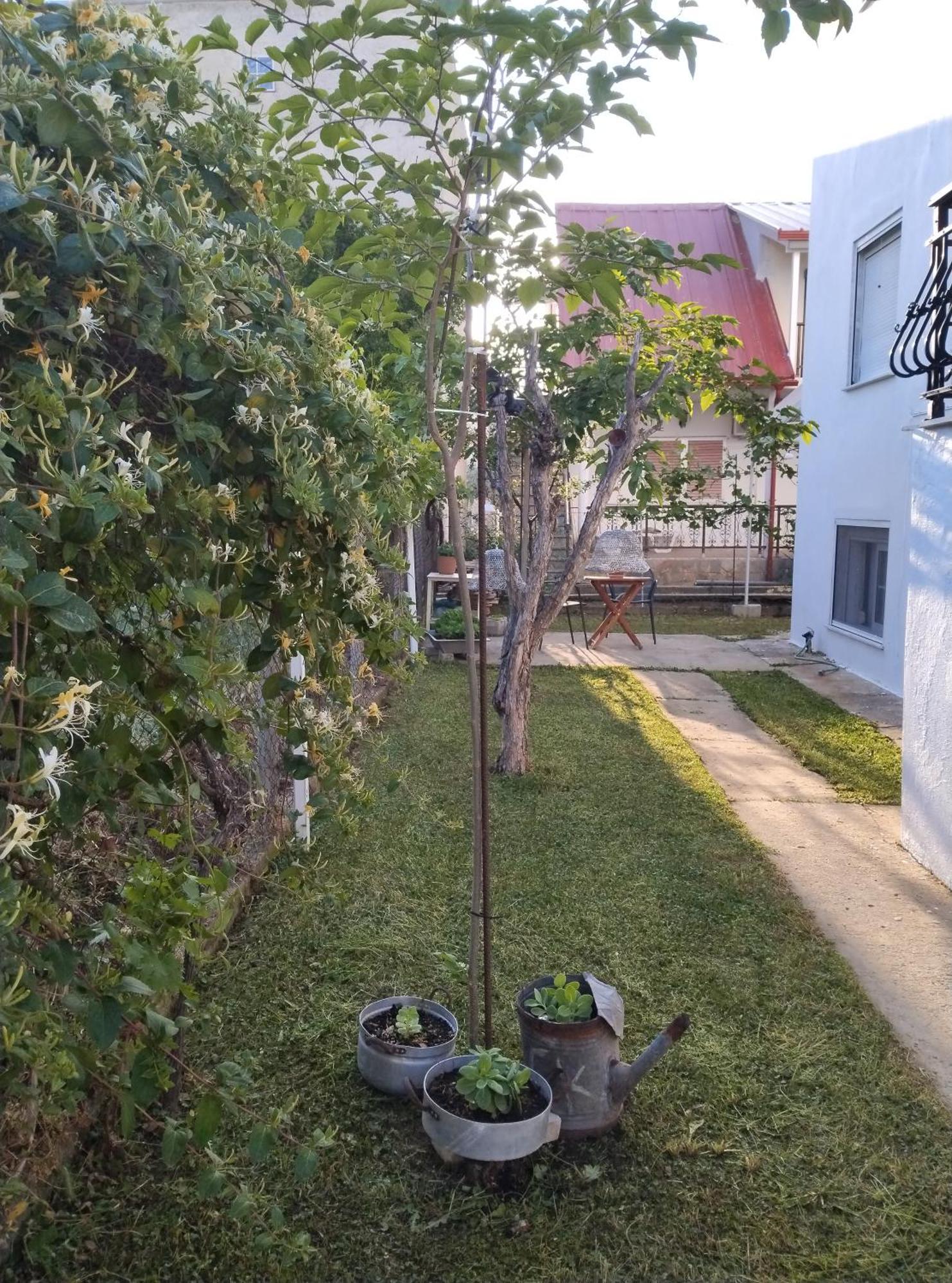 Θαλασσινή Αυρα Villa Vrasná Dış mekan fotoğraf